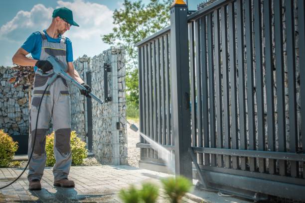 Best Gutter Cleaning  in Fremont, IN