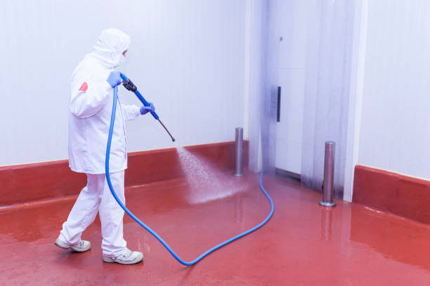 Best Graffiti Removal  in Fremont, IN