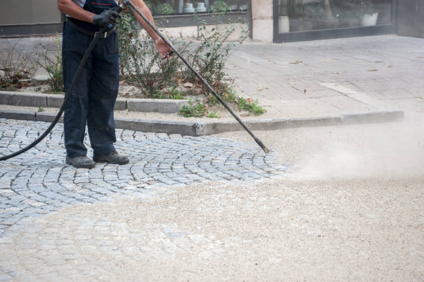 Best Spring Cleaning  in Fremont, IN